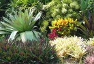 Kelso NSWplanting-garden-and-landscape-design-24.jpg; ?>